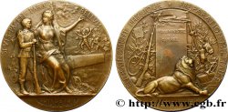 III REPUBLIC Médaille PRO PATRIA - Préparation militaire