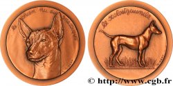 ANIMAUX Médaille animalière - Chien du Mexique