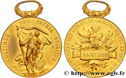 III REPUBLIC Médaille, Pro Patria, à la mémoire des enfants du Calvados