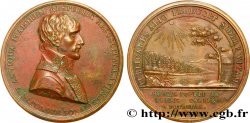CONSOLATO Médaille, Constitution de la République italienne à Lyon (refrappe)