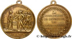 THE CONVENTION Médaille, Défense de la Constitution