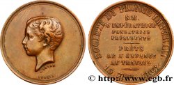 NAPOLEON IV Médaille, Société du Prince Impérial, prêts de l’enfance au travail