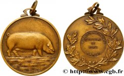 BELGIEN - NAMUR Médaille, fédération des éleveurs de porcs