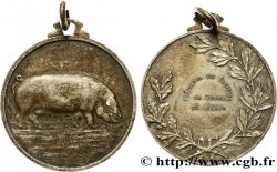 BELGIUM - NAMUR Médaille, fédération des éleveurs de porcs