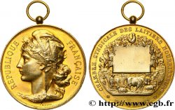 SOCIÉTÉS D AGRICULTURE, HORTICULTURE, PÈCHE ET CHASSE Médaille, Chambre syndicale des laitiers nourrisseurs