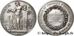 III REPUBLIC Médaille, Société nationale et centrale d’horticulture