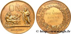 TERZA REPUBBLICA FRANCESE Médaille, Société pour l’instruction élémentaire