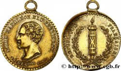 DEUXIÈME RÉPUBLIQUE Proclamation du président Louis Napoléon Bonaparte