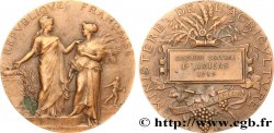 TERZA REPUBBLICA FRANCESE Médaille de récompense, Concours central