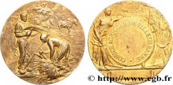 SOCIÉTÉS D AGRICULTURE, HORTICULTURE, PÈCHE ET CHASSE Médaille de Comice agricole