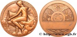 BANKS - CRÉDIT INSTITUTIONS Médaille, Banque de l’Union parisienne
