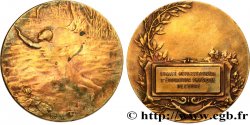 SPORTS Médaille, Comité départemental d’éducation physique