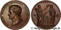 NAPOLEON S EMPIRE Médaille, Napoléon Ier couronné roi d Italie
