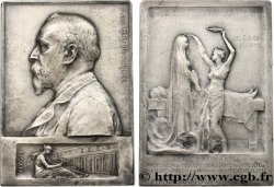 PERSONNAGES DIVERSES Plaque d’hommage, Paul Brouardel