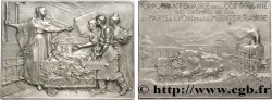 TRANSPORTS (TRAINS, BUS, TRAMWAYS, BATEAUX...) Plaque Paris-Lyon-Méditerranée, Cinquantenaire de la Compagnie des Chemins de fer