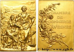CHAMBRES DE COMMERCE Plaque, Chambre de commerce d’Avesnes TTB+