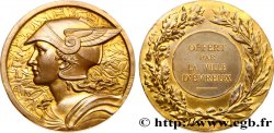 TOWNS OF NORMANDY Médaille de récompense