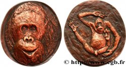 ANIMAUX Médaille animalière - Orang-outan