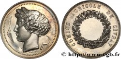 SOCIÉTÉS D AGRICULTURE, HORTICULTURE, PÊCHE ET CHASSE Médaille, Comice agricole