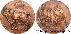 ANIMAUX Médaille animalière - Taureau charolais