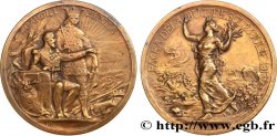 ROMANIA - CHARLES I Médaille, Paix de Bucarest
