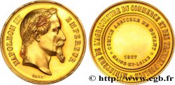 SEGUNDO IMPERIO FRANCES Médaille de concours, comice agricole