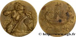 TROISIÈME RÉPUBLIQUE Médaille, La Grande Guerre 1914-1917