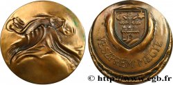HONGRIE Large médaille, Comté de Veszprem