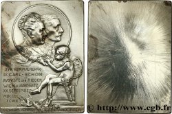 AUSTRIA Plaque, Mariage du Docteur Carl-Schoen