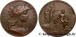TERCERA REPUBLICA FRANCESA Médaille de concours, tir