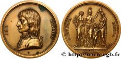 ITALY - CISALPINE REPUBLIC Médaille, Fondation de la République Cisalpine, 9 juillet 1797, refrappe