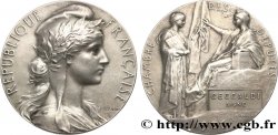 III REPUBLIC Médaille parlementaire, Pascal Ceccaldi