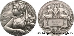 III REPUBLIC Médaille parlementaire, Lucien Dior