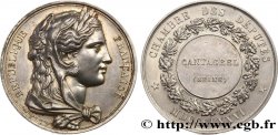 TROISIÈME RÉPUBLIQUE Médaille parlementaire, Ire législature, Félix François Cantagrel