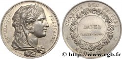 TERCERA REPUBLICA FRANCESA Médaille parlementaire, Ire législature, David Lanel