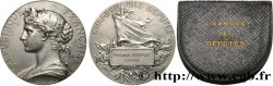 TERZA REPUBBLICA FRANCESE Médaille parlementaire, XIIIe législature, Pierre Dupuy