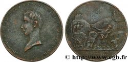 AUSTRIA Médaille, Prince Ferdinand d’Este