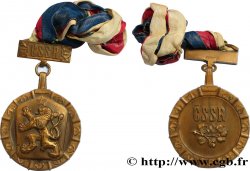 CECOSLOVACCHIA Médaille de représentant du gouvernement