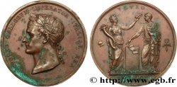 NAPOLEON S EMPIRE Médaille, Napoléon Ier couronné roi d Italie
