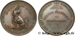 ITALIEN - ITALIEN KÖNIGREICH - VIKTOR EMANUEL II. Médaille, 25e anniversaire du Risorgimento italien