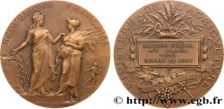 III REPUBLIC Médaille, Concours général agricole de Paris, membre du jury