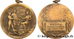 TERCERA REPUBLICA FRANCESA Médaille de récompense, Honneur et Patrie