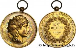 III REPUBLIC Médaille, Chambre syndicale de l’industrie du bâtiment