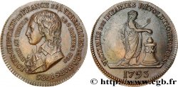 LUIGI XVII Médaille pour la mort de Louis XVII