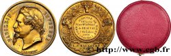 SECOND EMPIRE Médaille, Comice agricole
