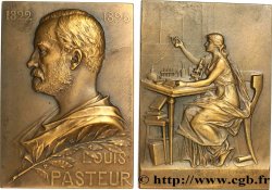 PERSONNAGES CELEBRES Plaque, Louis Pasteur