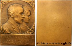SCIENCES & SCIENTIFIQUES Plaque, Pierre et Marie Curie
