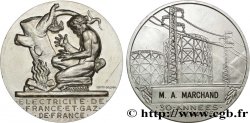 ENTREPRISES, INDUSTRIES ET COMMERCES DIVERS Médaille de mérite EDF / GDF, 30 années