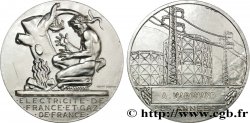 ENTREPRISES, INDUSTRIES ET COMMERCES DIVERS Médaille de mérite EDF / GDF, 25 années