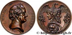 ÉCRIVAINS/ÉCRIVAINES - POÈTES Médaille, Johann Wolfgang von Goethe